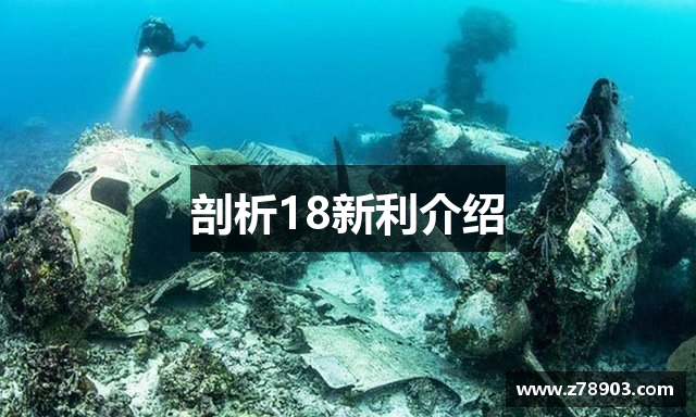 剖析18新利介绍